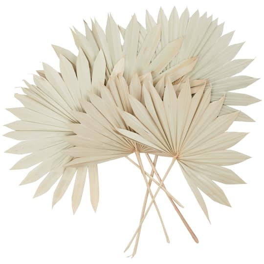 Cream Sun Palm Spear Leaf Foliage Bundle